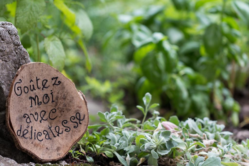 Auberge Du Moulin De Lere Vailly Zewnętrze zdjęcie