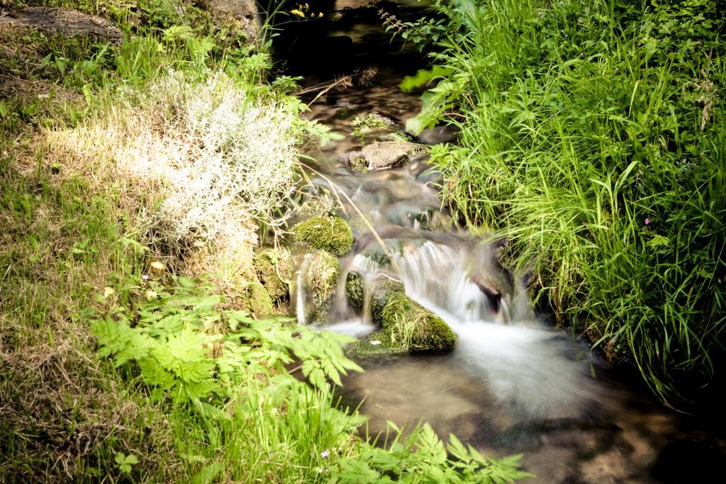 Auberge Du Moulin De Lere Vailly Zewnętrze zdjęcie